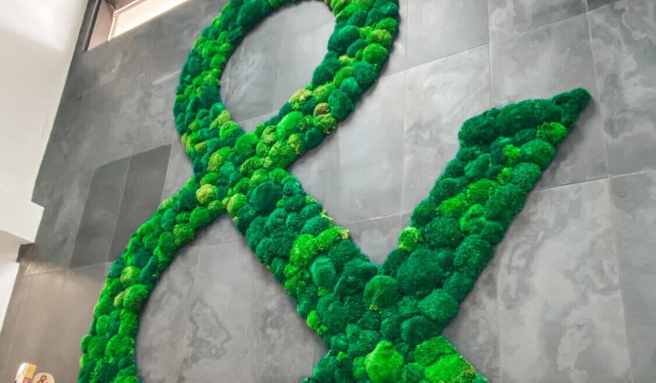 2021: Impact & Insight | North&Co.  North&Co.